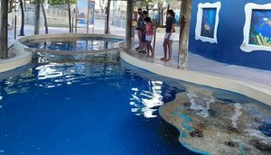 OCEANÁRIO ARACAJU  / Foto: Projeto Tamar