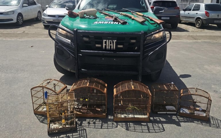 PM-AL apreende animais silvestres e armas em ação no Litoral Norte