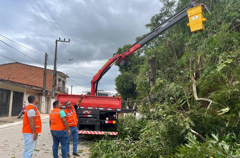 Defesa Civil de Branquinha realiza operação de podas de árvores