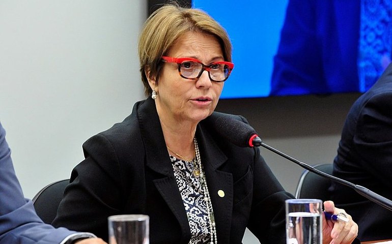 &#8216;O agronegócio não precisa da Amazônia&#8217;, diz ministra da Agricultura