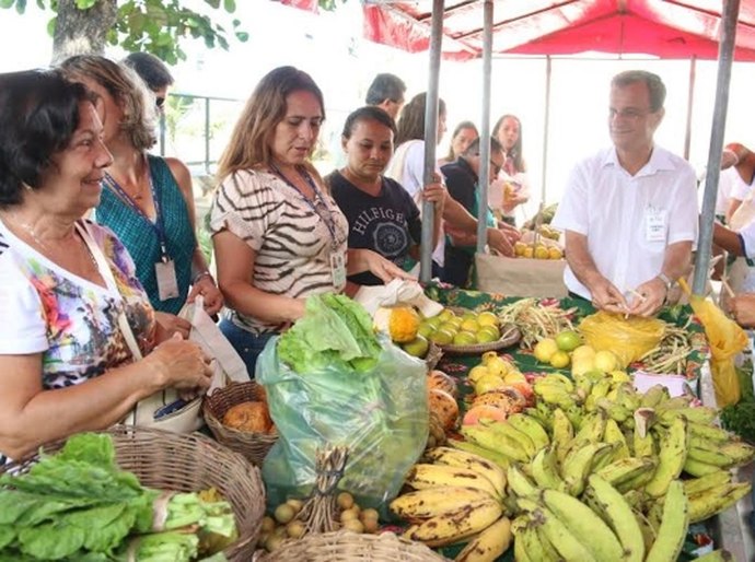 2ª edição da Feirinha de orgânicos Casa Verde acontece na sexta (17)
