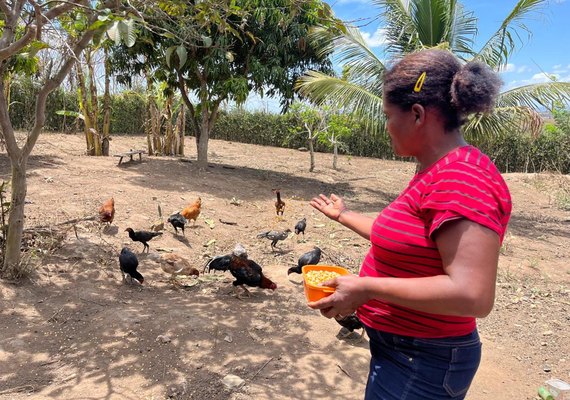 Há 13 anos, Emater atua dando assistência e desenvolvendo agricultura familiar em Alagoas
