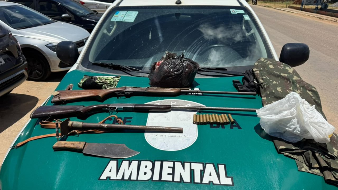 Polícia Militar apreende armas de fogo e resgata animais silvestres no interior de Alagoas