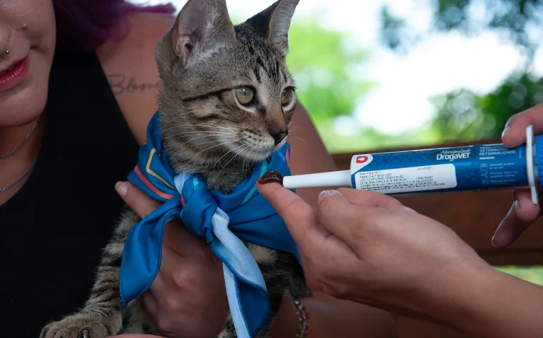 Tratamento com até 90% de resposta clínica muda cenário da peritonite infecciosa felina no Brasil