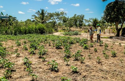 Produtos da agricultura familiar de Penedo vencem chamada pública do Ifal