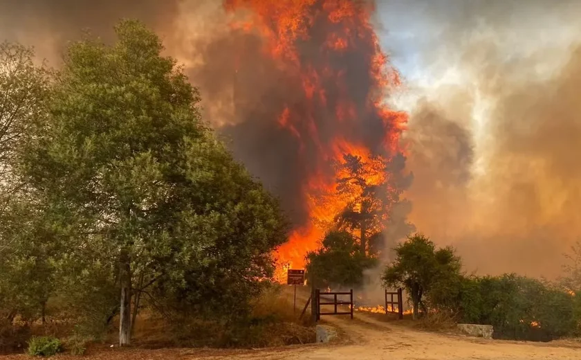 Chile confirma 131 mortes em incêndios florestais e aponta dificuldade de resgate em áreas afetadas