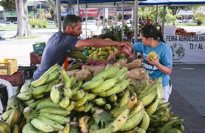 Última feira agroecológica do ano ocorre na quarta (13) com sorteio de mudas e vale-compras