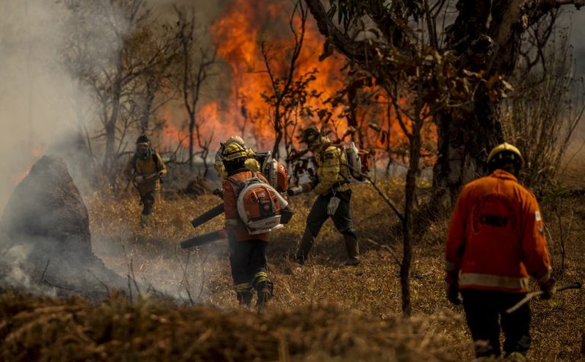 Medida provisória facilita repasses financeiros a estados para combater incêndios