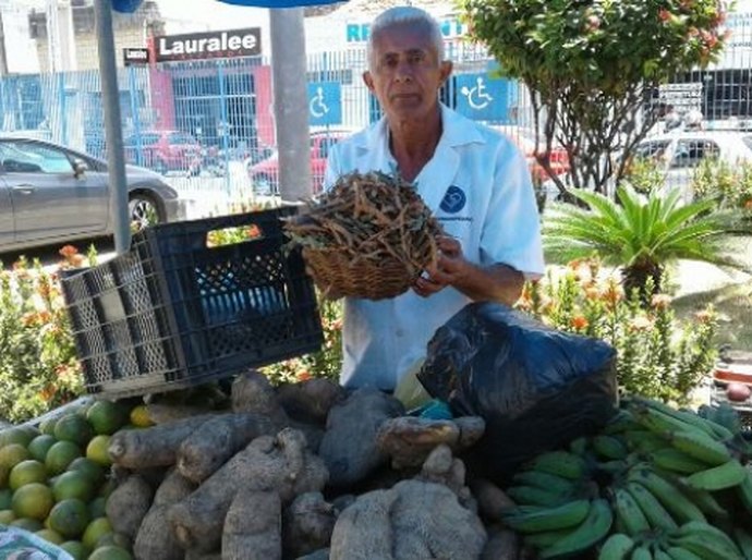 Produção artesanal do feijão guandu gera renda às famílias em Alagoas