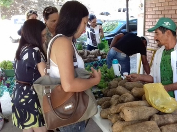 Terceira edição da Feira Orgânica ocorre nesta terça-feira (3), na Semarh