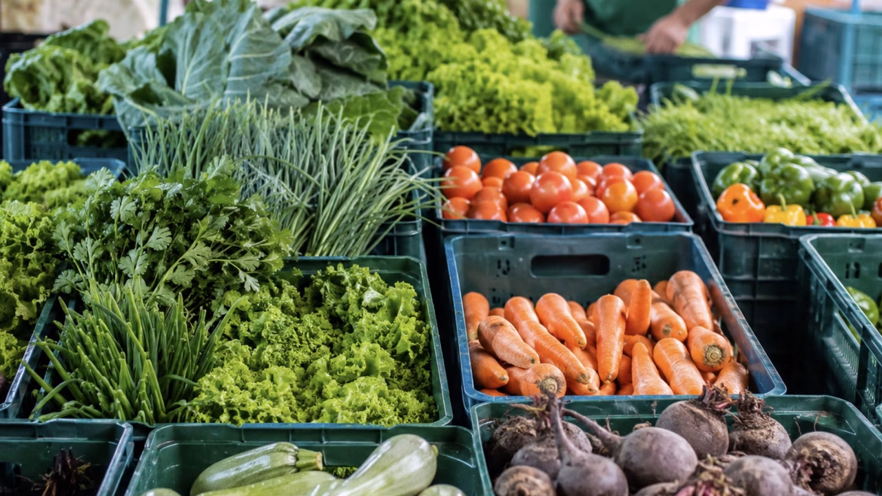 Inflação dos alimentos e reforma tributária: alertas e desafios