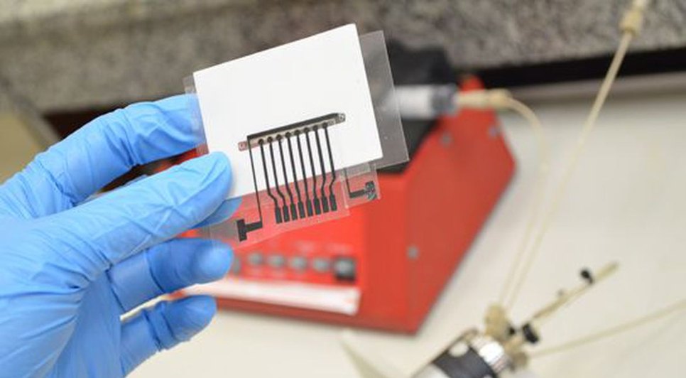 biomarcador_para_deteccao_de_alzheimer._credito_divulgacao_ufscar.jpg