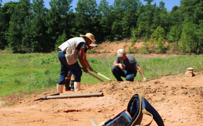 Estudo sugere que Brasil abrigou mamíferos gigantes até cerca de 3.500 anos atrás (IMAGENS)