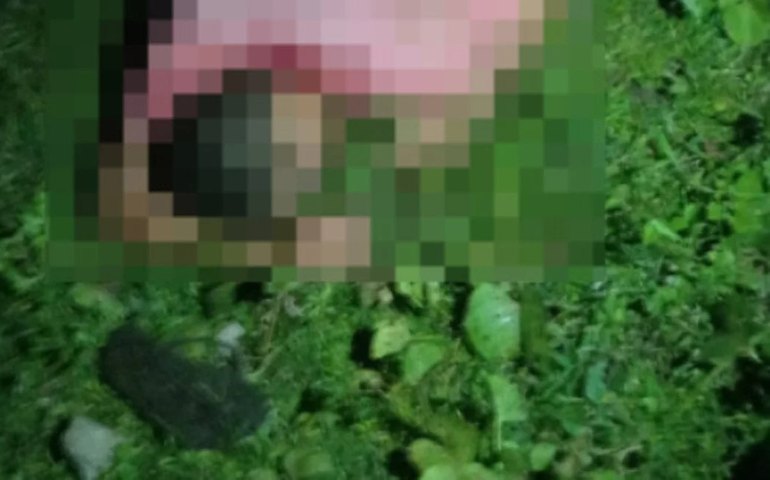 Violência no Agreste: homem é executado a tiros na zona rural de Girau do Ponciano