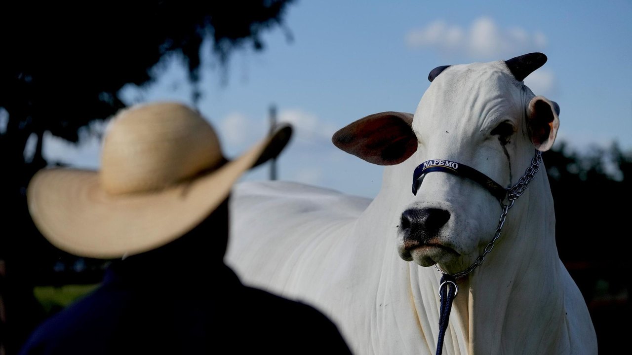 Medidas da UE contra carne brasileira ameaçam novamente o acordo do Mercosul