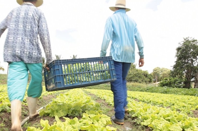 Desenvolve e Sedetur debatem parceria para interiorização do crédito