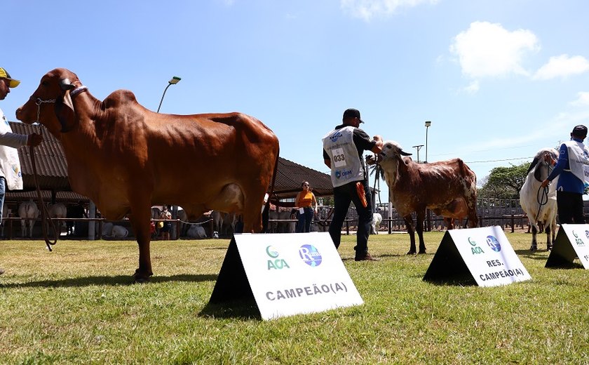 Expoagro Alagoas fatura R$15 milhões e quebra recorde