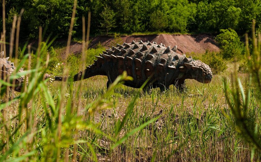 Paleontólogos descobrem nova espécie de anquilossauro com pegadas de 3 dedos no Canadá (FOTOS)