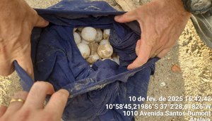 OPERAÇÃO OVOS ATALAIA (1)