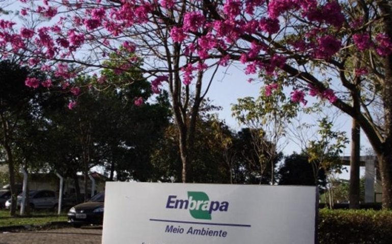 Comissão realiza homenagem aos 50 anos da Embrapa