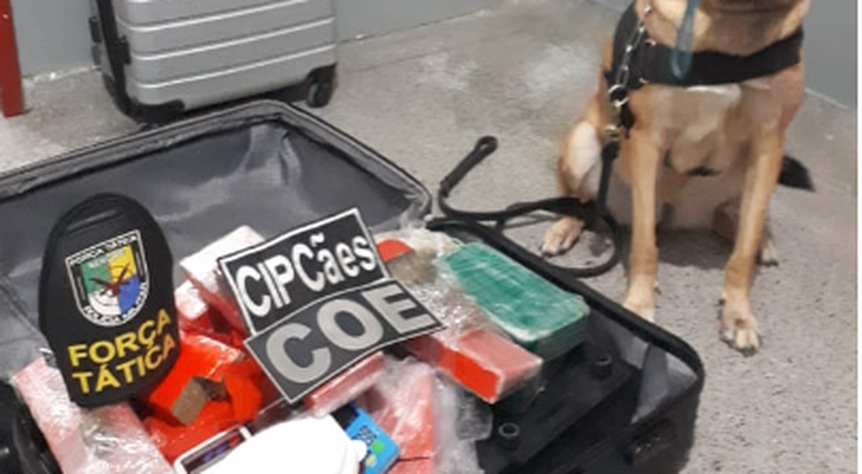 Homem é preso com 12kg de drogas dentro de casa em Aracaju / Foto: Foto: Polícia Militar/SE