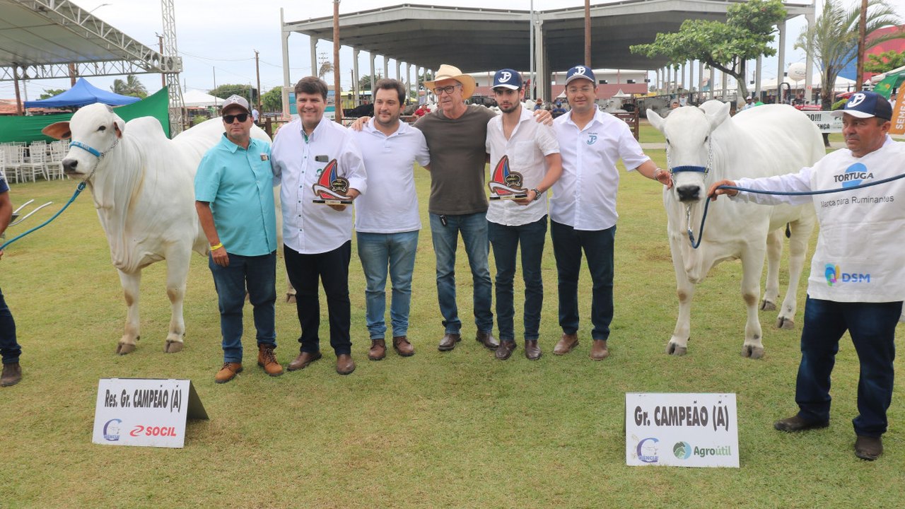 Raça Nelore ganha destaque com Exposição Regional durante a 72ª Expoagro Alagoas