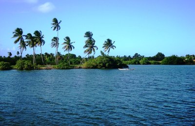 Sala de Alerta insta plataformas para monitorar rios, lagoas e chuvas em Alagoas