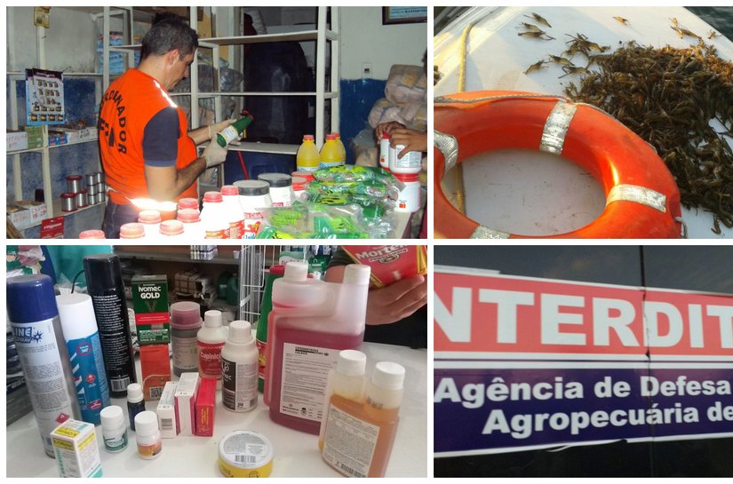 FPI do São Francisco interdita 377 litros de agrotóxicos em sete municípios