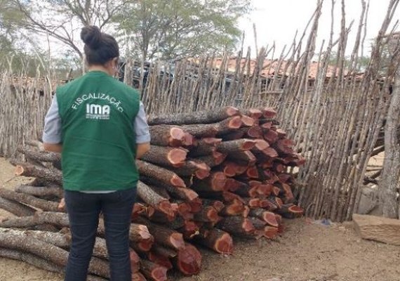 Fiscalização flagra desmatamento em Girau do Ponciano