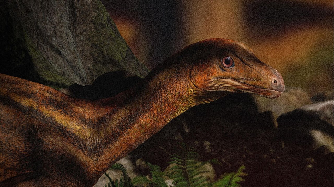 Nova descoberta revela, pela primeira vez, face de dinossauro brasileiro conhecido há 25 anos