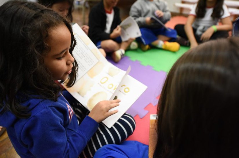 Livros: escolas públicas de educação infantil podem escolher acervo de 2027-2029