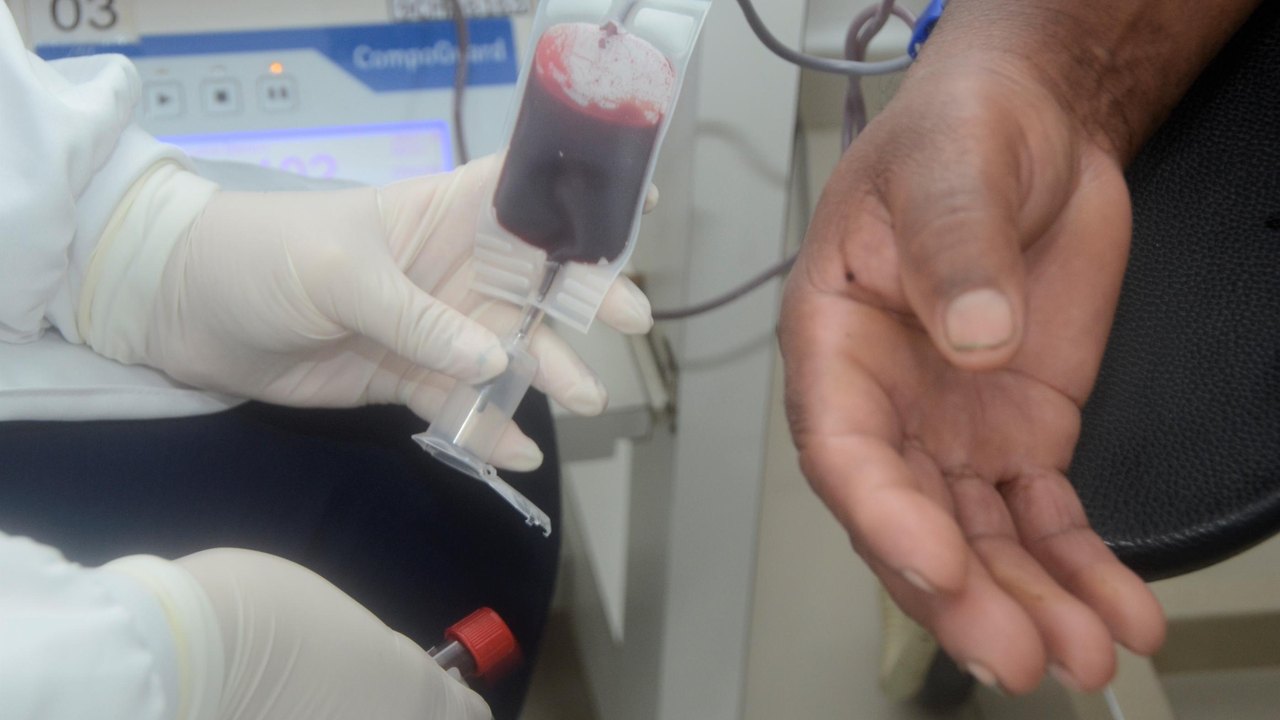 Quer doar sangue durante o Carnaval? Veja os horários de funcionamento do Hemoal