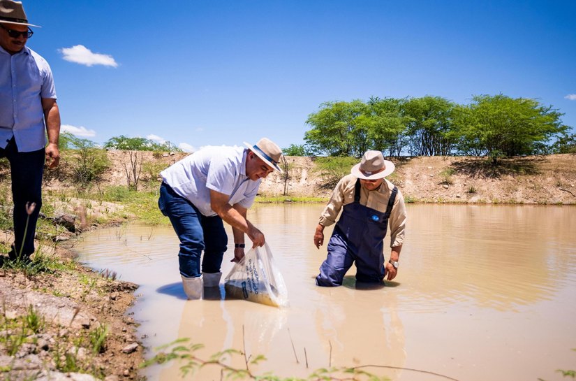 Conferência Alagoana de Pesca e Aquicultura contará com presença do ministro Édipo Araújo