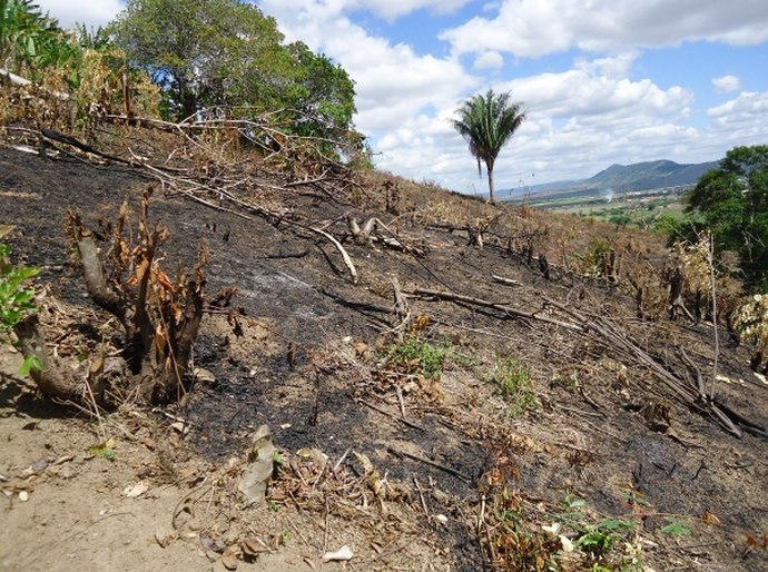 IMA monitora focos de queimada na APA de Murici