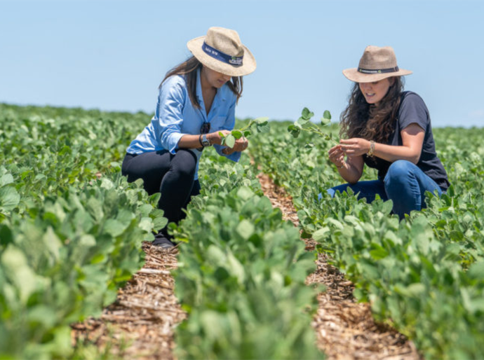 ALE aprova em 1º turno projeto que institui o Dia da Mulher do Agro