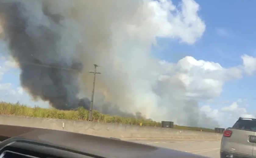 Incêndios em canaviais provocou nuvem de fumaça em partes da cidade de Arapiraca