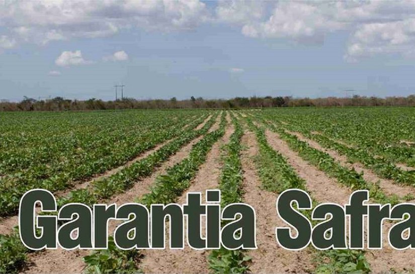 CNM alerta gestores sobre alterações no Garantia Safra para 2016/2017