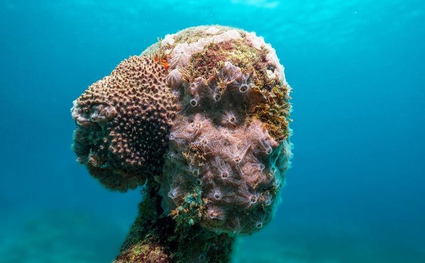 Conheça o museu subaquático que serve de proteção a corais no Caribe colombiano