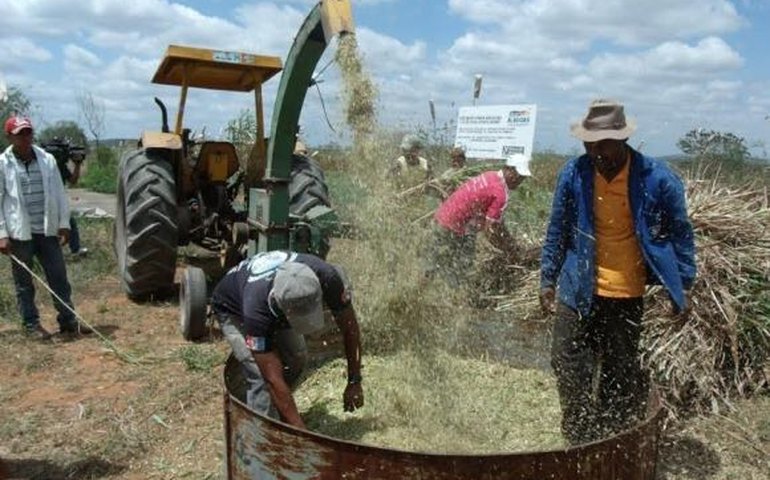 Estado recupera Unidade de Pesquisa Agropecuária da Emater