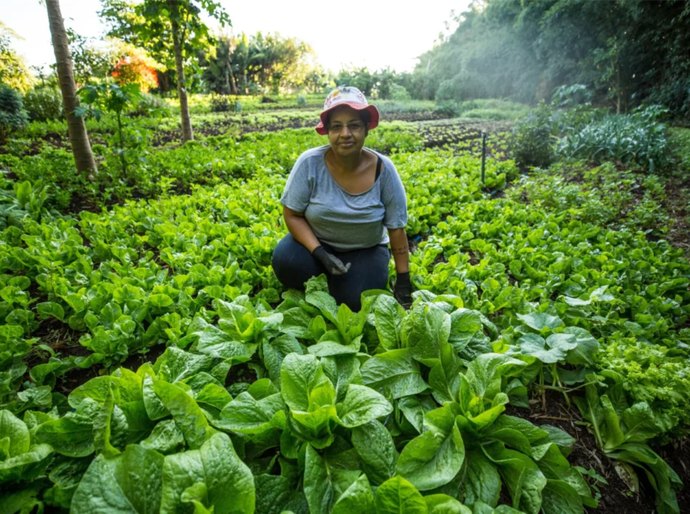 Sessão especial da ALE debate benefícios da agroecologia em Alagoas