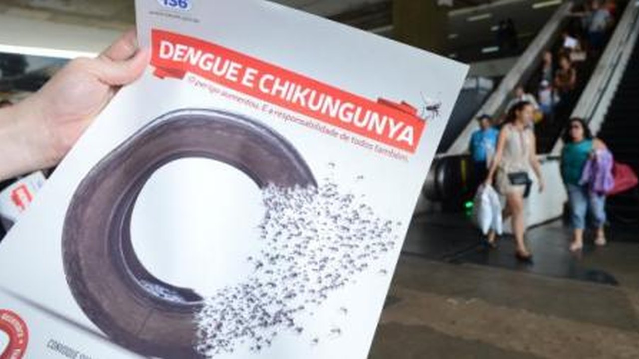 Transmitido pelo mesmo mosquito da dengue, Chikungunya assusta o país em 2014
