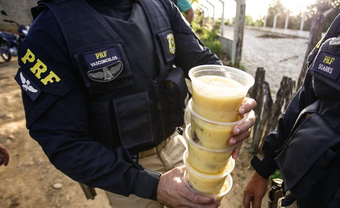 Material foi apreendido e destruído durante a fiscalização