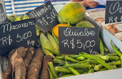 Feira da Agricultura Familiar em Murici terá participação de produtores de oito municípios