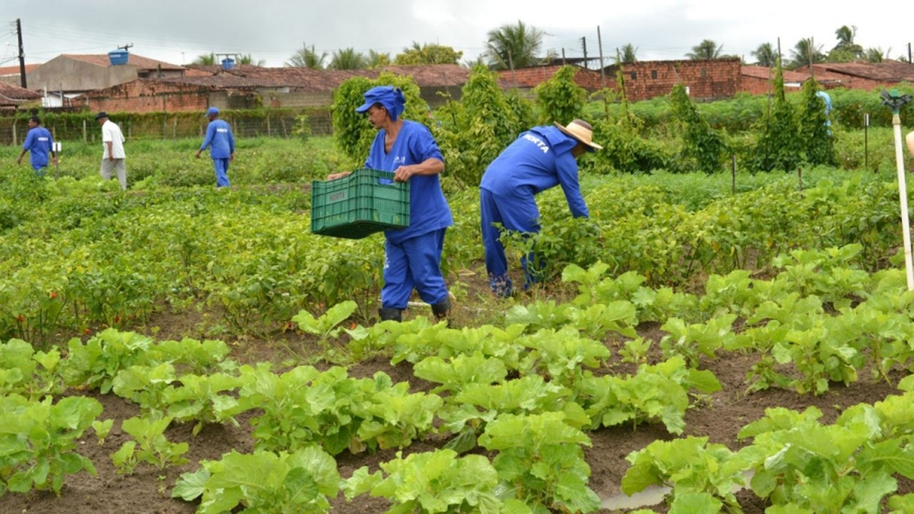 Toneladas de alimentos orgânicos foram cultivados no sistema prisional de AL em 2019