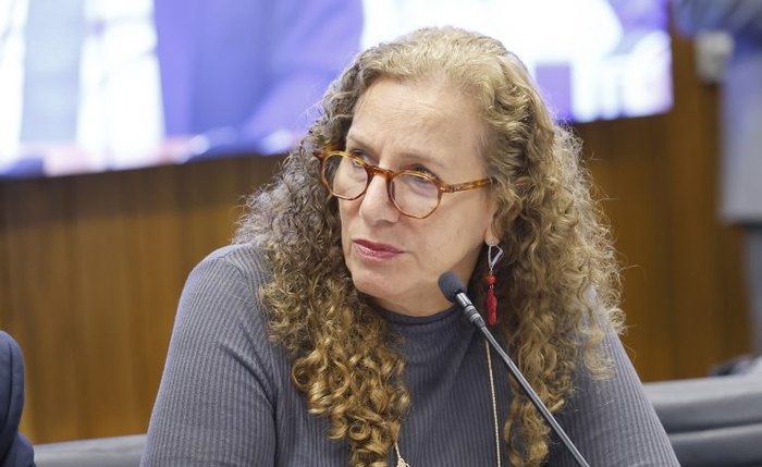 Jandira Feghali é a relatora da propota