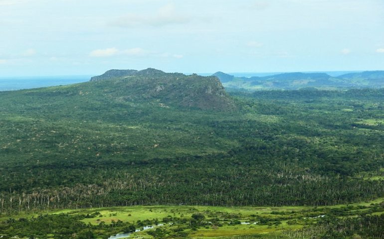Lei autoriza comércio de crédito de carbono e acesso à biodiversidade em florestas públicas