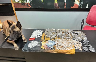 PM-AL contabiliza quase 50 quilos de drogas e 25 armas de fogo apreendidos em uma semana