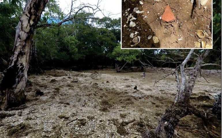 É possível construir uma ilha a partir de restos de comida? Cientistas dizem que sim (IMAGENS)