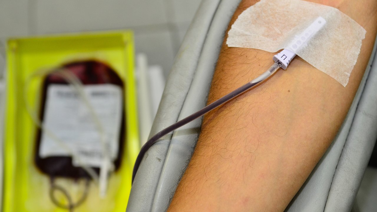 Vender sangue? PEC que propõe comércio de plasma enfrenta resistências no Senado; entenda