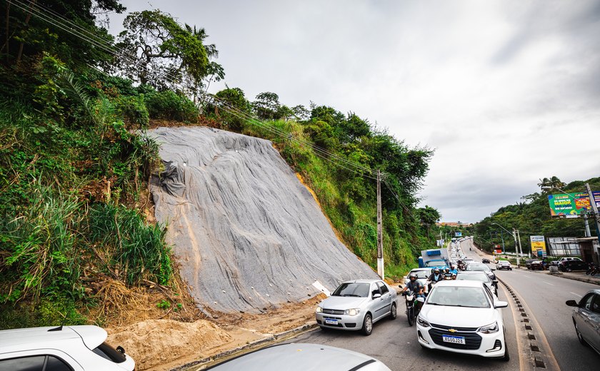 Avenida Leste-Oeste recebe geocomposto para proteção de encostas